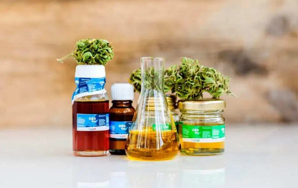 A proper guide about cbd Canada ingredients