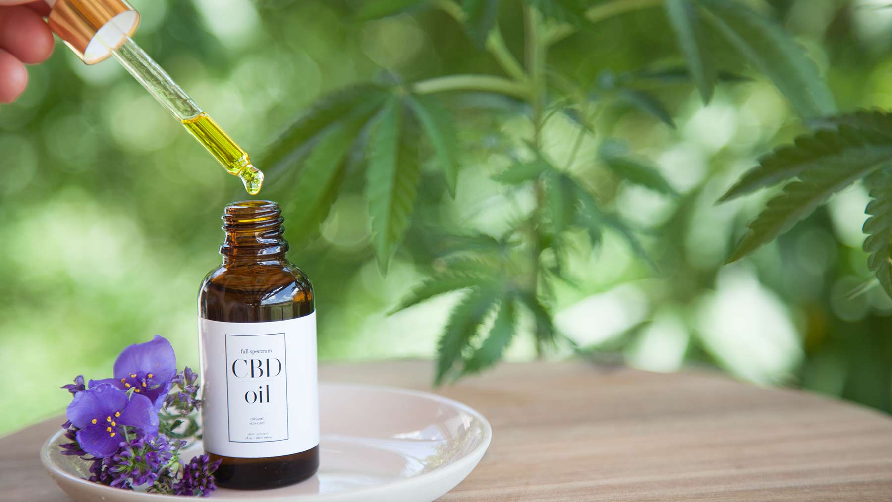 Get familiar with the productive uses of cbd