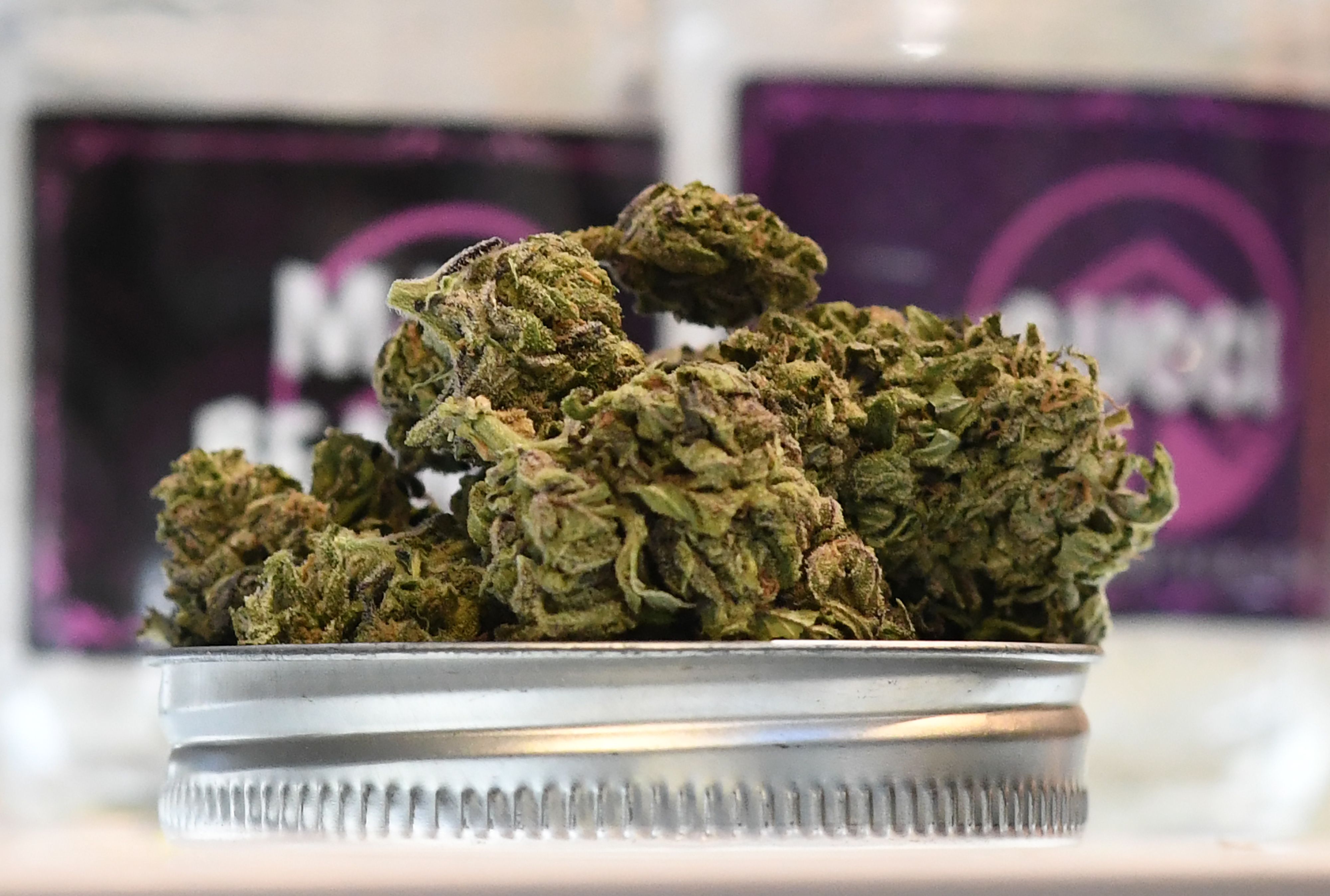 With the San Francisco Marijuana Dispensary, you will feel comfortable and safe when consuming Cannabis