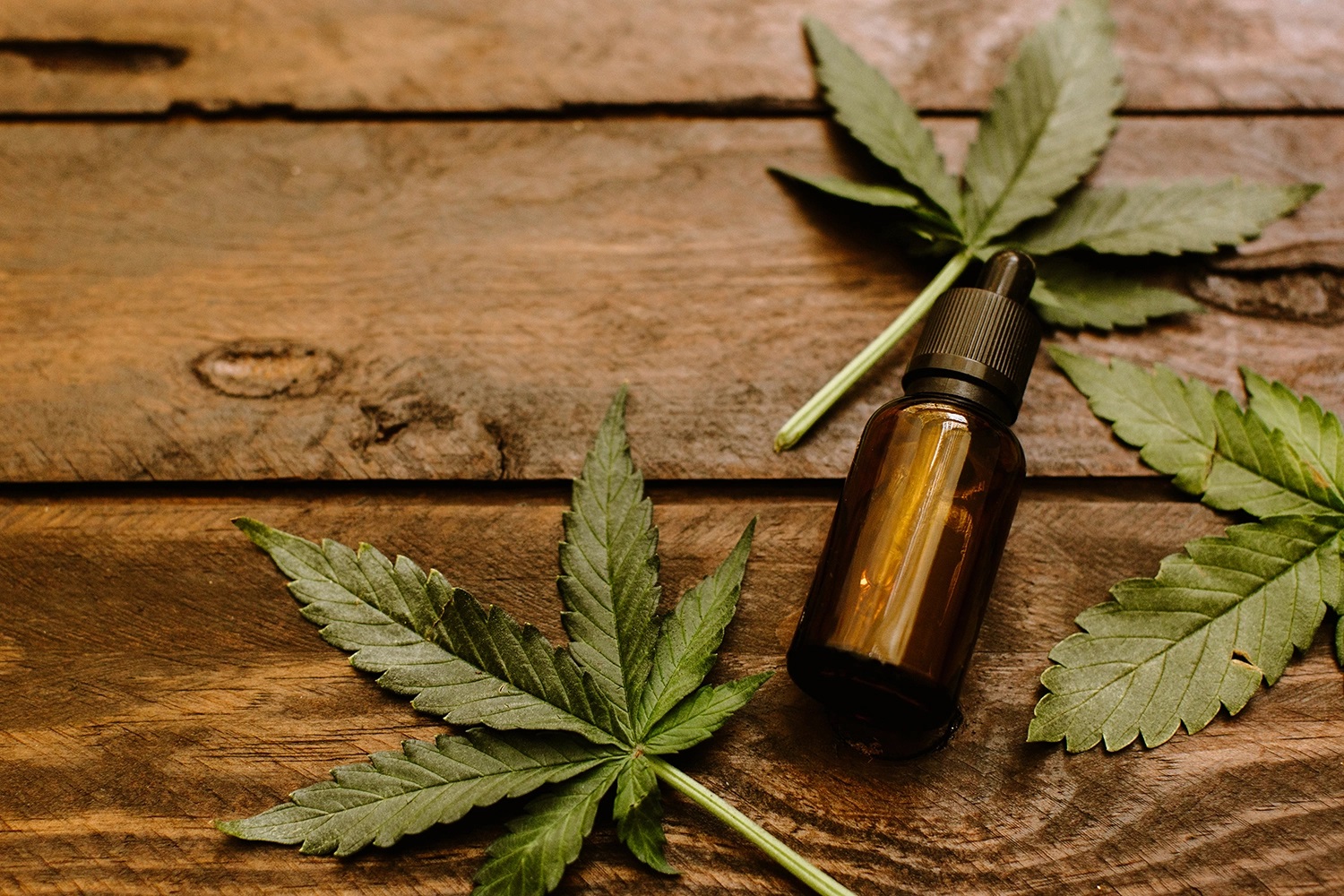 What You Should Know About CBD Resins